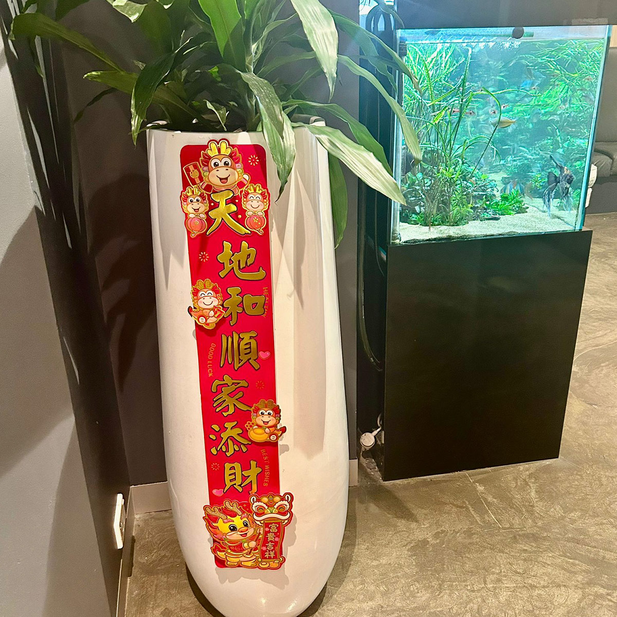 Chinese new year dentist