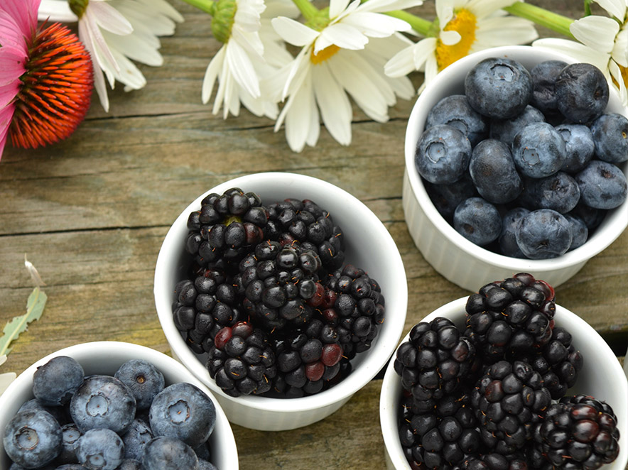 foods to avoid when teeth whitening - blueberries foods to avoid when teeth whitening - blueberries