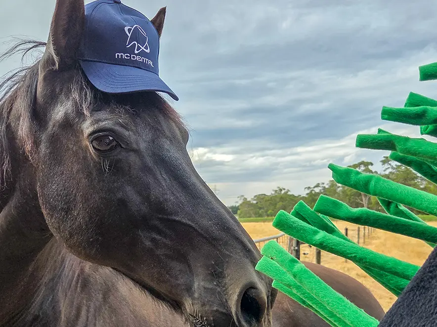 Happy Chinese New Year 2026!